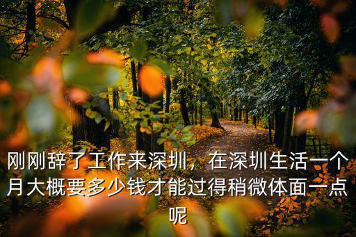 剛剛辭了工作來(lái)深圳，在深圳生活一個(gè)月大概要多少錢(qián)才能過(guò)得稍微體面一點(diǎn)呢