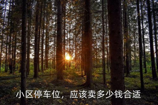 小區停車位，應該賣多少錢合適