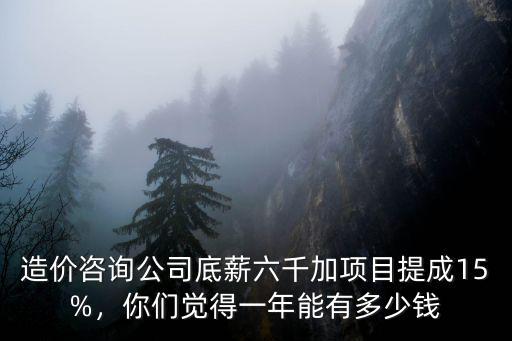 金華一年造價咨詢能有多少,造價咨詢公司一年90w