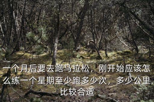青島馬拉松比賽跑多少公里,馬拉松一般都是多少公里