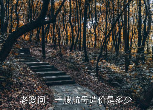 山東號舷號是多少,山東號航空母艦全長是多少