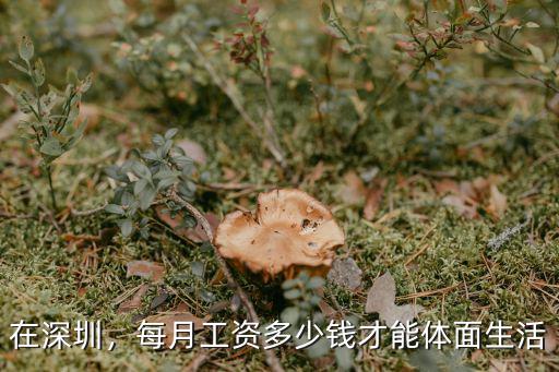在深圳，每月工資多少錢才能體面生活