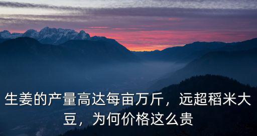 生姜的產量高達每畝萬斤，遠超稻米大豆，為何價格這么貴