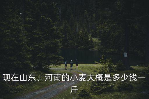 淄博濟南17號小麥現在多少錢一斤,山東菏澤小麥多少錢一斤