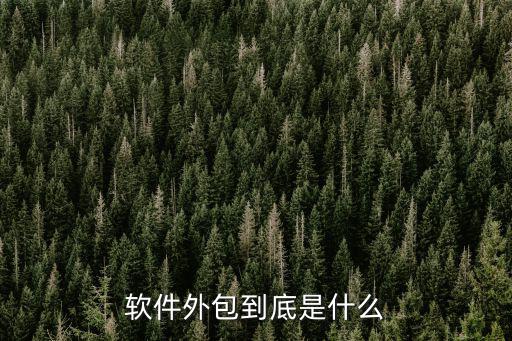 深圳軟件外包公司怎么樣,現在外包軟件公司越來越多