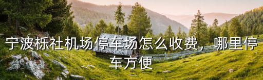 寧波樂社機場停車費多少一天,寧波櫟社機場停車場怎么收費