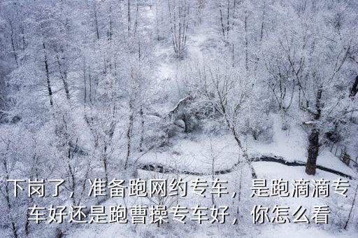 下崗了，準備跑網約專車，是跑滴滴專車好還是跑曹操專車好，你怎么看
