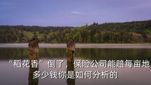 廣州蔬菜保險(xiǎn)每畝可賠多少錢,土地保險(xiǎn)一畝地應(yīng)繳納多少錢