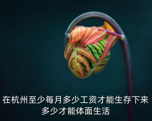 杭州陽(yáng)光出行一個(gè)月掙多少錢,在杭州到手11500一個(gè)月