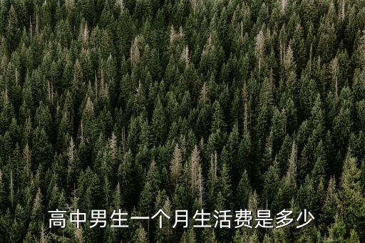 溫州高中生一個(gè)月生活費(fèi)多少,高中男生一個(gè)月生活費(fèi)是多少