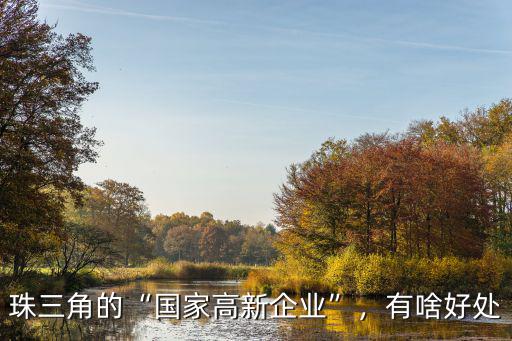 珠三角的“國家高新企業”，有啥好處
