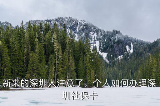 深圳怎么網(wǎng)上申請(qǐng)個(gè)人社保卡,個(gè)人如何辦理深圳社保卡