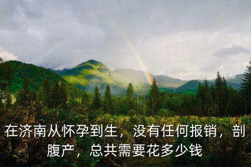 在濟南從懷孕到生，沒有任何報銷，剖腹產，總共需要花多少錢