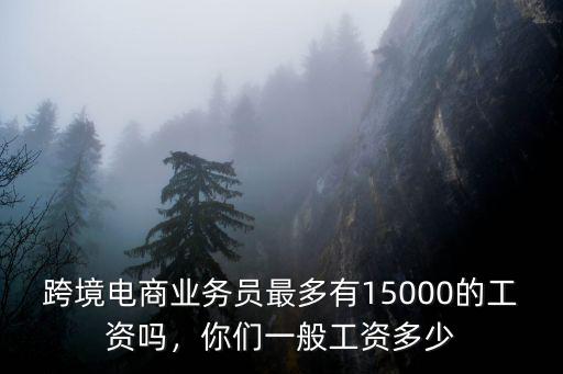 跨境電商業務員最多有15000的工資嗎，你們一般工資多少