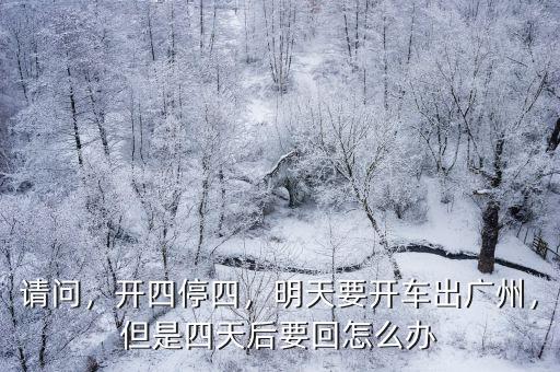 請問，開四停四，明天要開車出廣州，但是四天后要回怎么辦