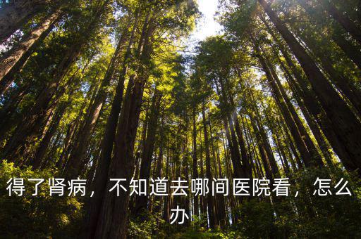 得了腎病，不知道去哪間醫院看，怎么辦