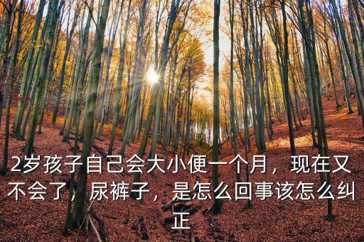 佛山尿褲子是怎么回事,一想解手就尿褲子是怎么回事
