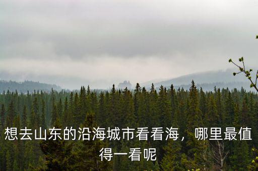 想去山東的沿海城市看看海，哪里最值得一看呢