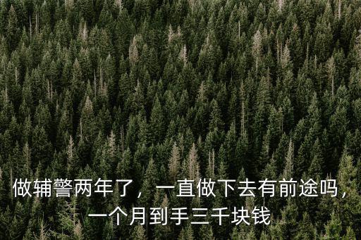 做輔警兩年了，一直做下去有前途嗎，一個(gè)月到手三千塊錢