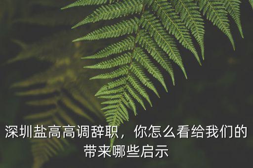 深圳鹽高高調(diào)辭職，你怎么看給我們的帶來哪些啟示