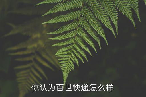 你認為百世快遞怎么樣