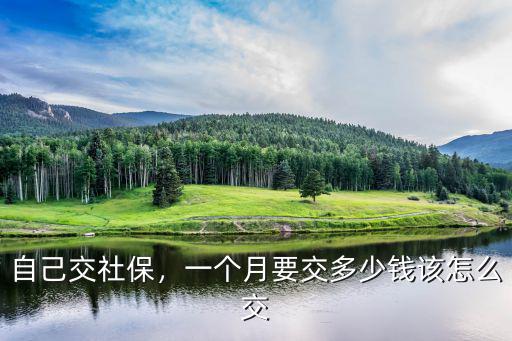 自己交社保，一個月要交多少錢該怎么交