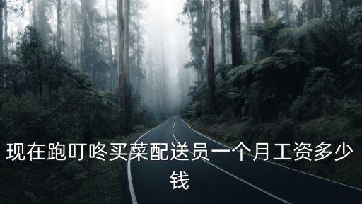 現在跑叮咚買菜配送員一個月工資多少錢