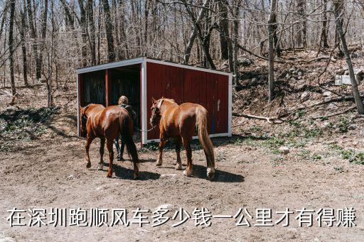 在深圳跑順風(fēng)車多少錢一公里才有得賺