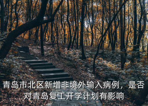 青島市北區新增非境外輸入病例，是否對青島復工開學計劃有影響