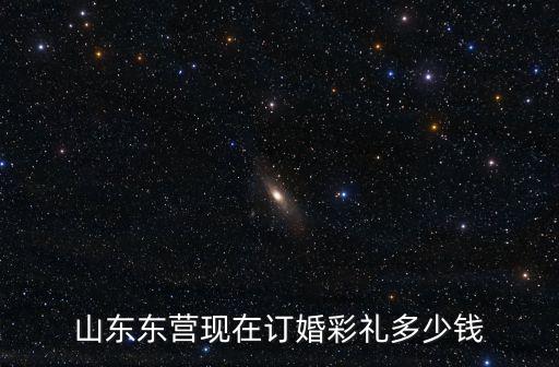 山東東營現在訂婚彩禮多少錢