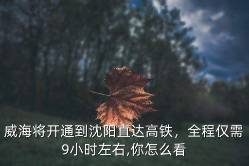 威海將開通到沈陽直達高鐵，全程僅需9小時左右,你怎么看