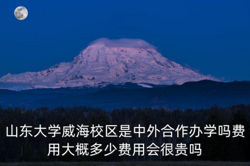 山東大學網教費用多少,費用會很貴嗎
