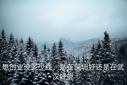 想創(chuàng)業(yè)沒(méi)多少錢，是在深圳好還是在武漢好呢