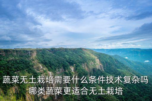 廣東肇慶哪里有無土栽培蔬菜工廠,蔬菜無土栽培成本少