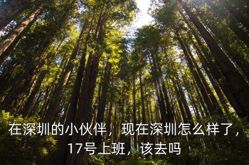 在深圳的小伙伴，現在深圳怎么樣了，17號上班，該去嗎