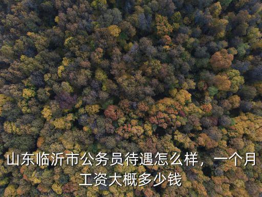 臨沂市村支書工資一個月多少錢,山東臨沂市公務員待遇怎么樣