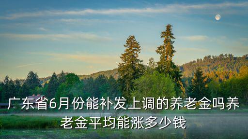 廣東一年的養(yǎng)老金能漲多少,養(yǎng)老金平均能漲多少錢