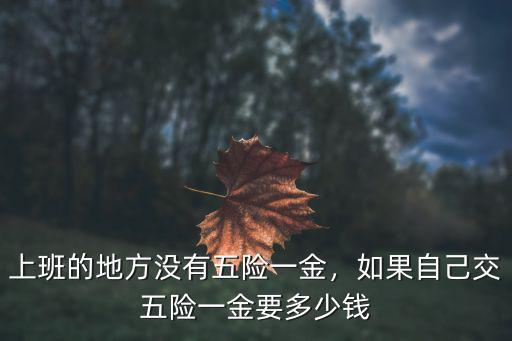 山東德州自己交五險一金多少錢,上班的地方沒有五險一金
