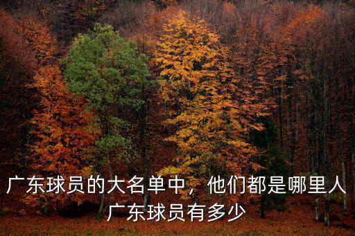 廣東球員的大名單中，他們都是哪里人廣東球員有多少