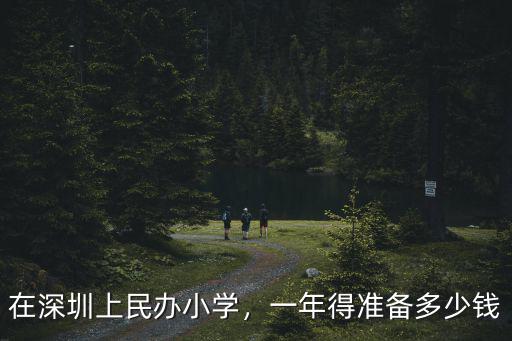 深圳公立小學學費是多少錢,在深圳上民辦小學