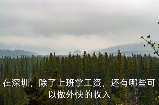 在深圳，除了上班拿工資，還有哪些可以做外快的收入
