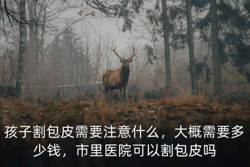 麗水市蓮城醫(yī)院割包皮多少錢,割包皮總共多少錢