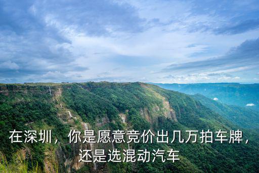 今年深圳6月車牌競價是多少,你是愿意競價出幾萬拍車牌