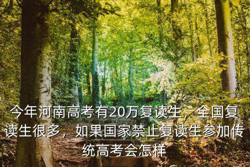 今年河南高考有20萬復讀生，全國復讀生很多，如果國家禁止復讀生參加傳統高考會怎樣