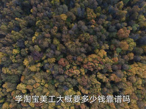 學(xué)淘寶美工大概要多少錢靠譜嗎