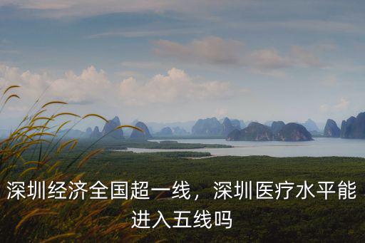 深圳經(jīng)濟(jì)全國(guó)超一線，深圳醫(yī)療水平能進(jìn)入五線嗎