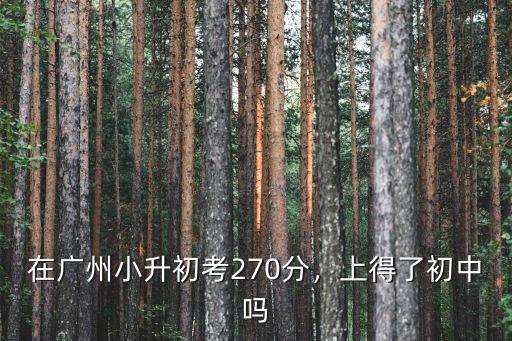 廣州小學升初中要考多少分,在廣州小升初考270分