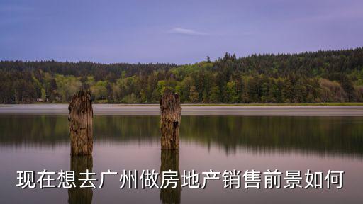 smc廣州銷售前景怎么樣,去廣州做信貸銷售怎么樣