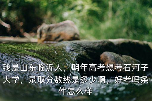臨沂大學(xué)錄取分?jǐn)?shù)2018是多少,我是山東臨沂人