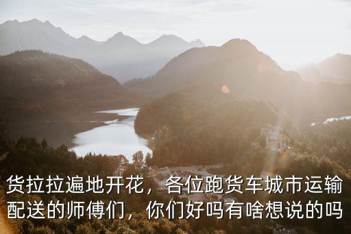 貨拉拉遍地開花，各位跑貨車城市運輸配送的師傅們，你們好嗎有啥想說的嗎
